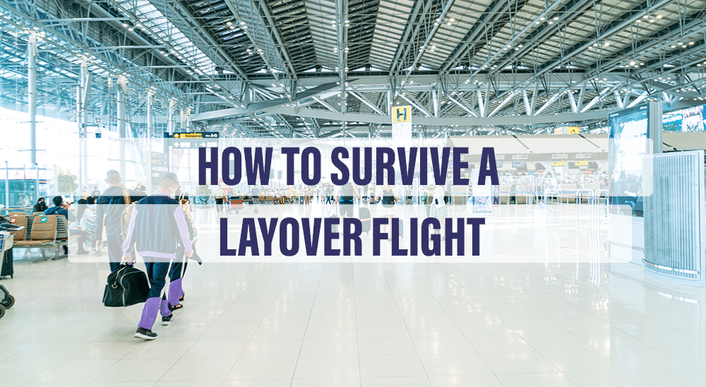 how to survive a layover flight